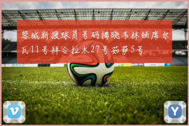 蓉城新援球员号码揭晓韦林顿席尔瓦11号拜合拉木27号茹萨5号